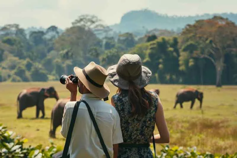 The Pros and Cons of Hiring A Tour Guide in Sri Lanka